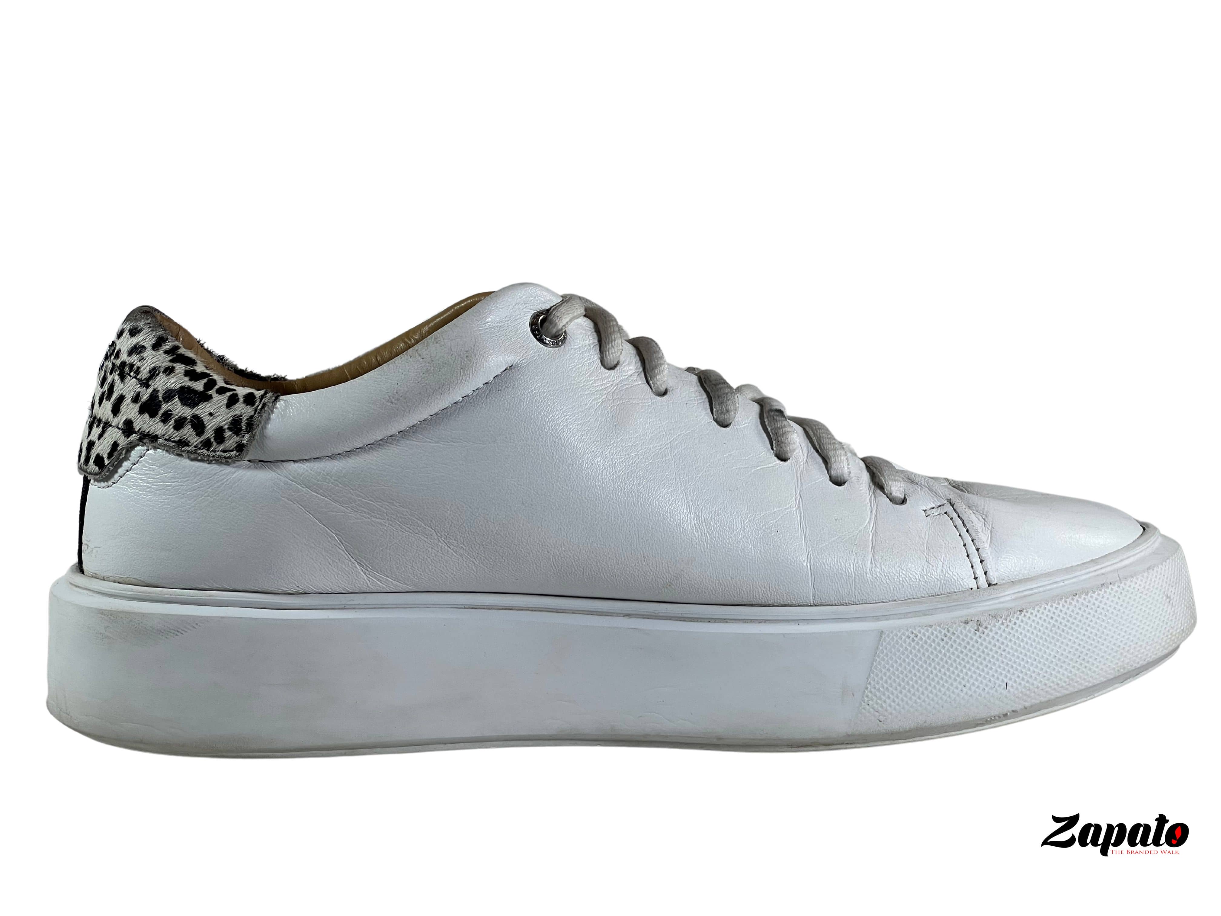 Ted Baker White Sneakers SH679